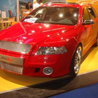 IAA Frankfurt 2007