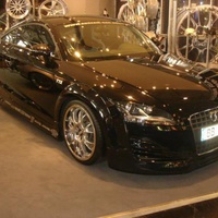 IAA Frankfurt 2007